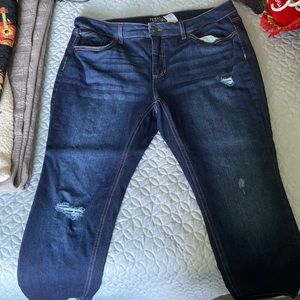 Pair of Dark Blue Time And Tru Jeans in Size 18 Petite, Skinny